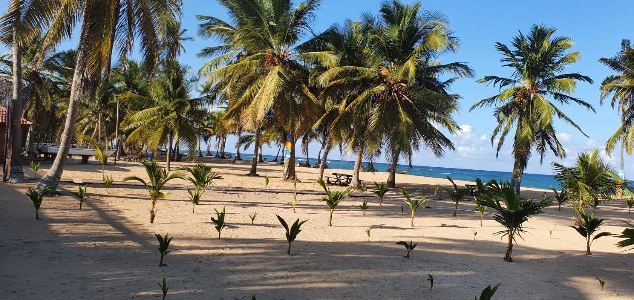 Puntacana Ecolodge Lavacama Beach Costa Arrecife By Aa Crypto Group Punta Cana Exterior photo