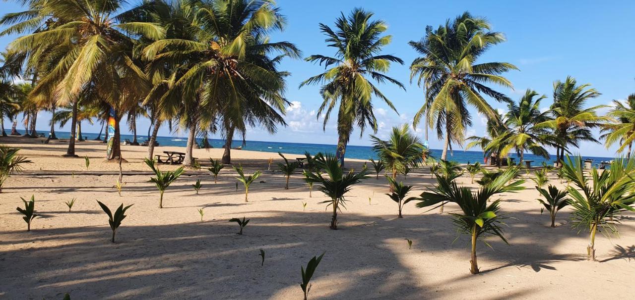 Puntacana Ecolodge Lavacama Beach Costa Arrecife By Aa Crypto Group Punta Cana Exterior photo
