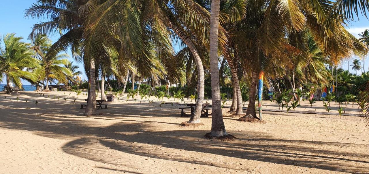 Puntacana Ecolodge Lavacama Beach Costa Arrecife By Aa Crypto Group Punta Cana Exterior photo