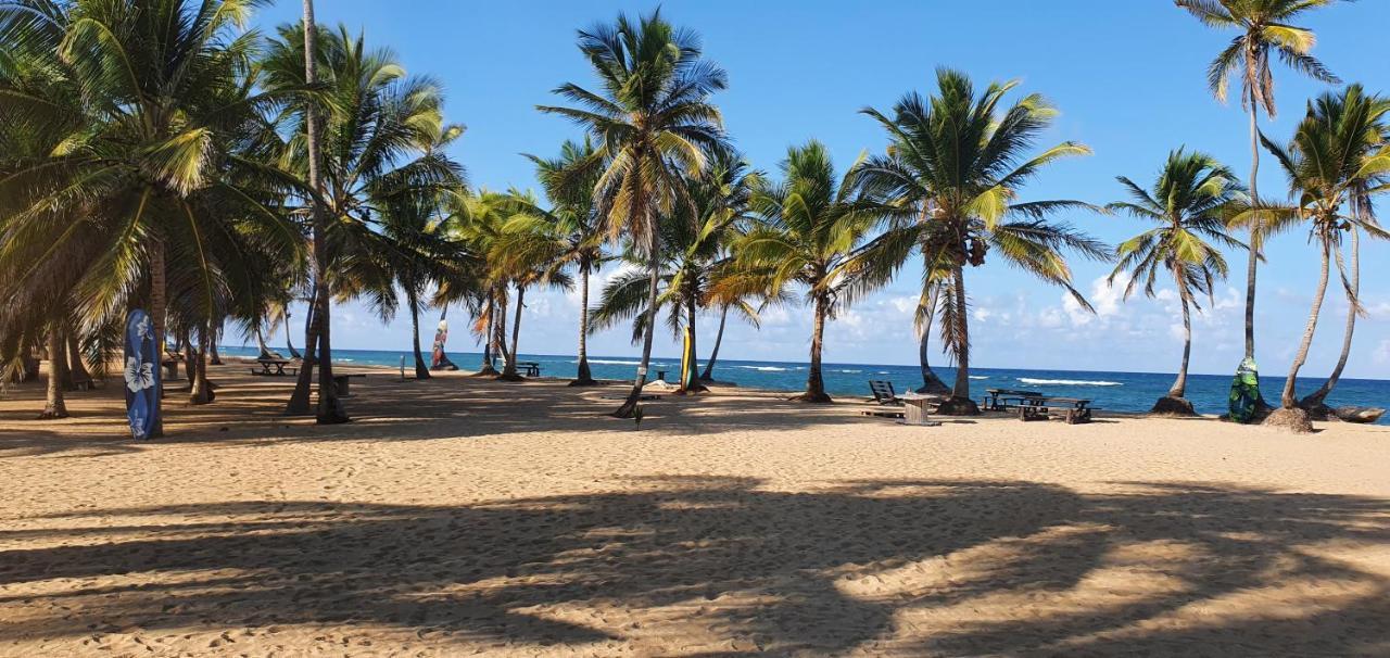 Puntacana Ecolodge Lavacama Beach Costa Arrecife By Aa Crypto Group Punta Cana Exterior photo