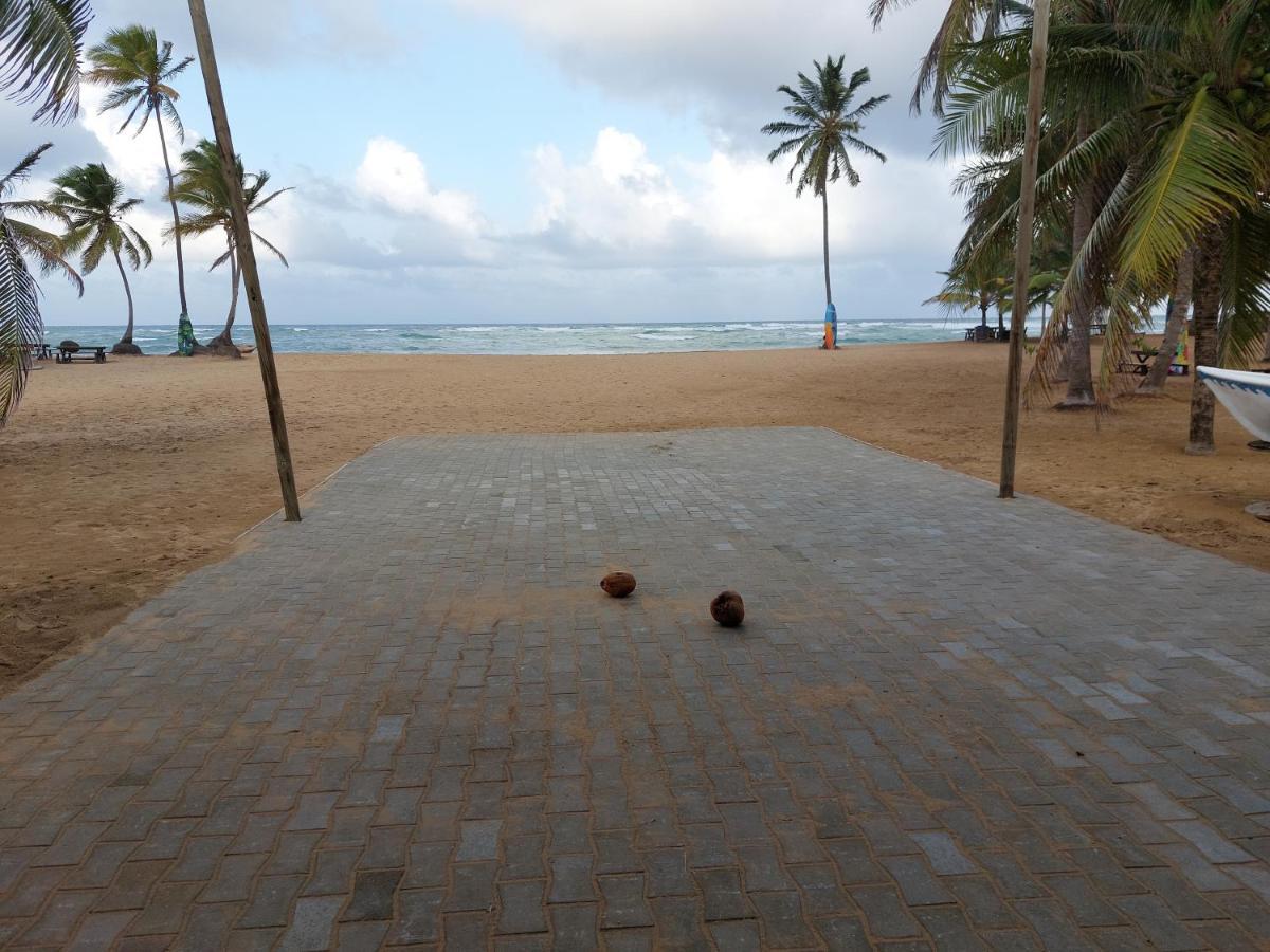 Puntacana Ecolodge Lavacama Beach Costa Arrecife By Aa Crypto Group Punta Cana Exterior photo