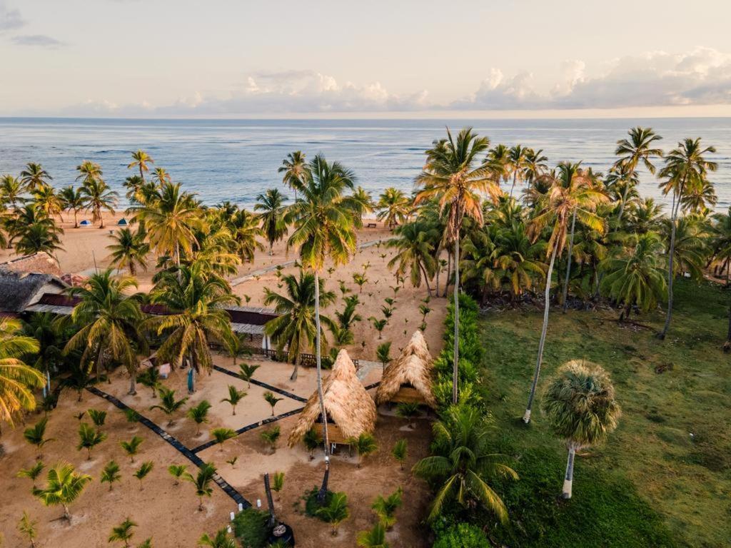 Puntacana Ecolodge Lavacama Beach Costa Arrecife By Aa Crypto Group Punta Cana Exterior photo