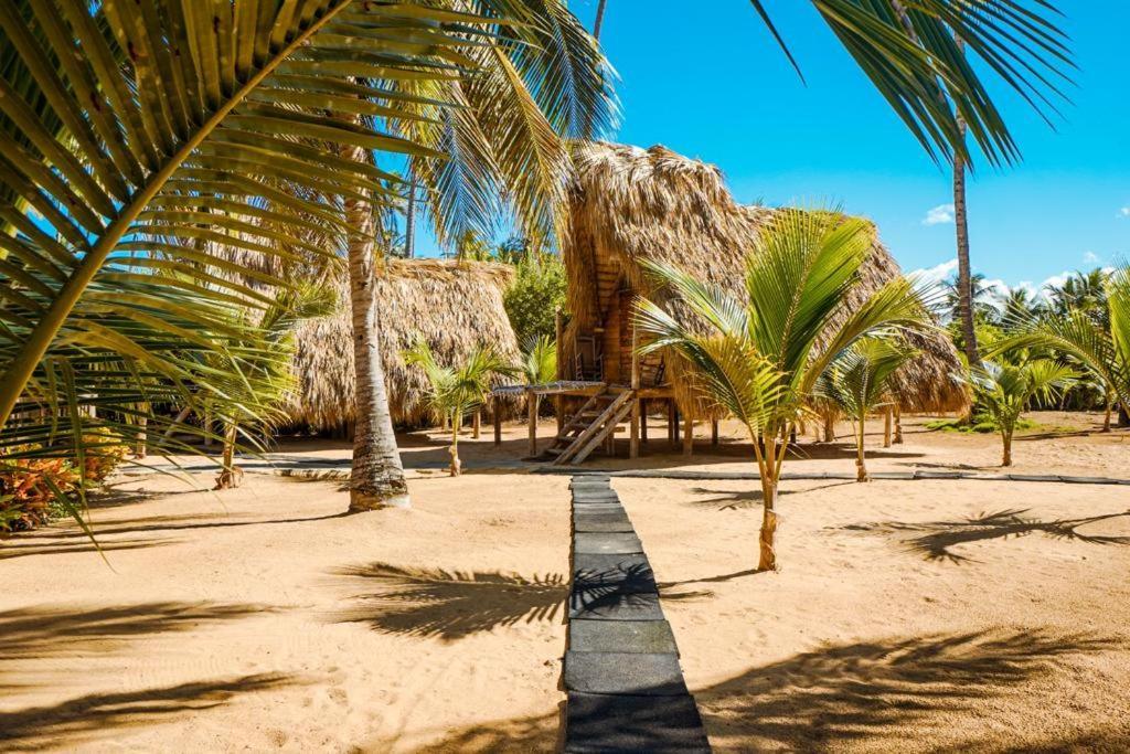 Puntacana Ecolodge Lavacama Beach Costa Arrecife By Aa Crypto Group Punta Cana Exterior photo
